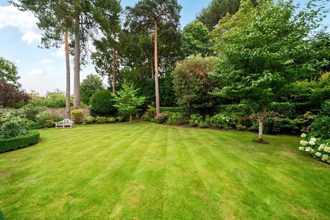 10, Winterbourne Grove, Weybridge photo 2