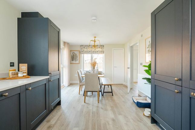 The Plumdale - Plot 20, Kyrle Green, St Mary's Garden Village, Ross-On-Wye photo 3