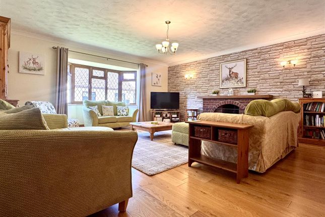 19A, Audley Road, Chelmsford photo 2