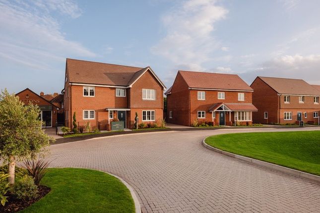 Vb5503323 Wattons Finalimages July2025 40 716x515