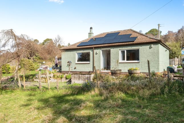 Thumbnail Detached bungalow for sale in Clashmore, Dornoch