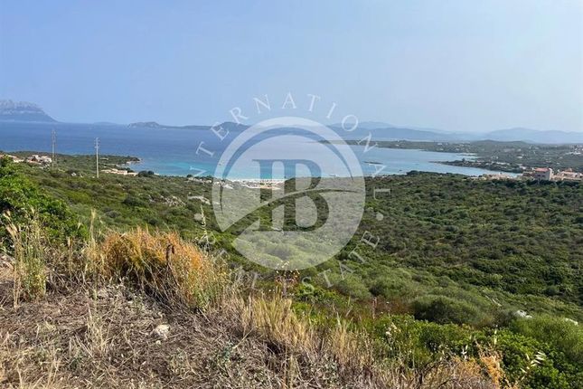 Land for sale in Porto Rotondo, Sardinia, 07026, Italy