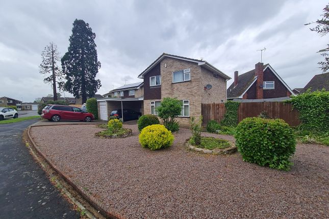 Thumbnail Detached house to rent in Brownlow Drive, Deeping St James, Peterborough