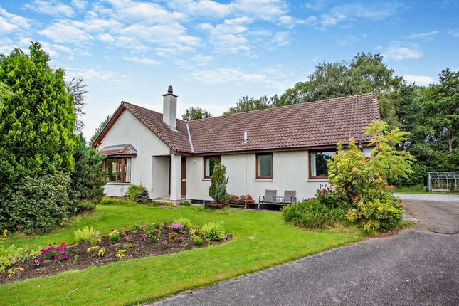 Thumbnail Detached house for sale in Torwood Way, Tore, Muir Of Ord, Ross-Shire