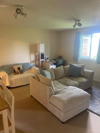 10 Geraldine Court, Hendon photo 5
