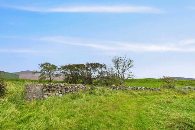 Torrabus Farmhouse, Isle of Islay photo 3