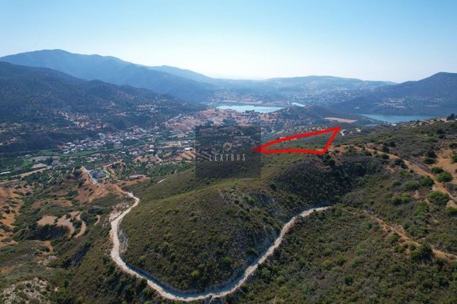 Land for sale in Akrounta, Cyprus