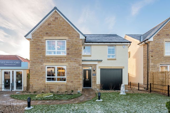 Thumbnail Detached house for sale in "Falkland" at Younger Gardens, St. Andrews