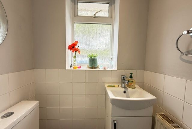 Watford photo 5