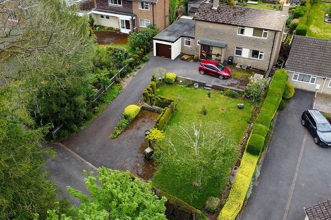 Buxus, Wingfield Road, Alfreton photo 2