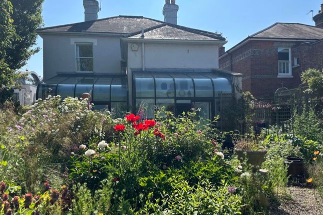 Summer Garden