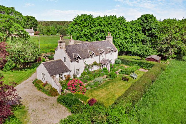 Thumbnail Detached house for sale in Clashmore, Dornoch, Sutherland