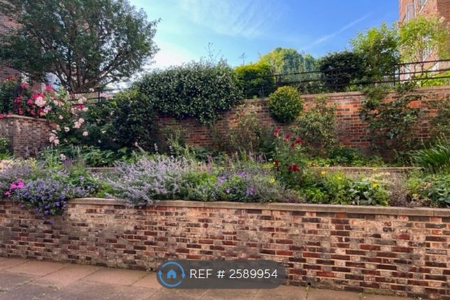 Attractive Mature Garden