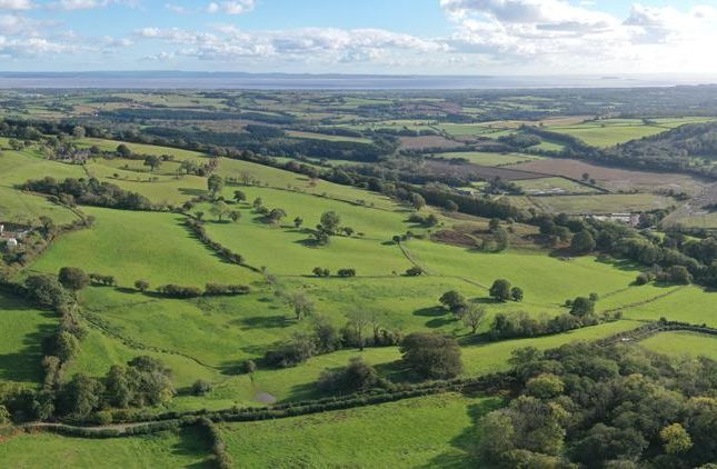 Thumbnail Land for sale in Land For Sale: Pant Teg, Lower Machen, Newport