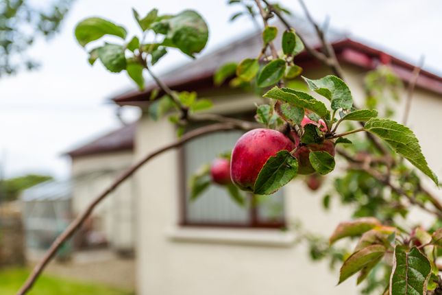 Detached bungalow for sale in Fereneze, Lochranza, Isle Of Arran, North Ayrshire