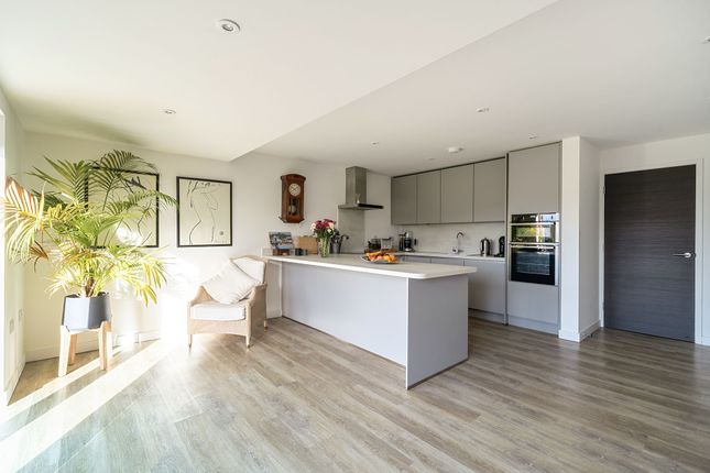 1 The Palms Tresahar Road, Falmouth photo 3