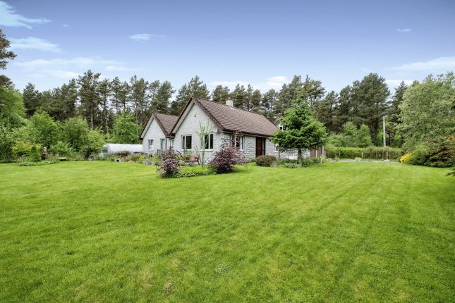 Thumbnail Bungalow for sale in Fortrose