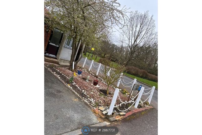 Daisy Close, Croydon photo 3