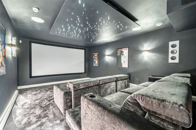 Cinema