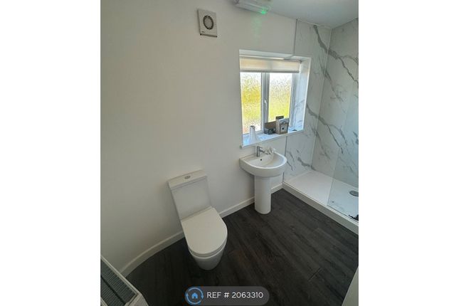 Semi-detached house to rent in Alice Street, South Shields