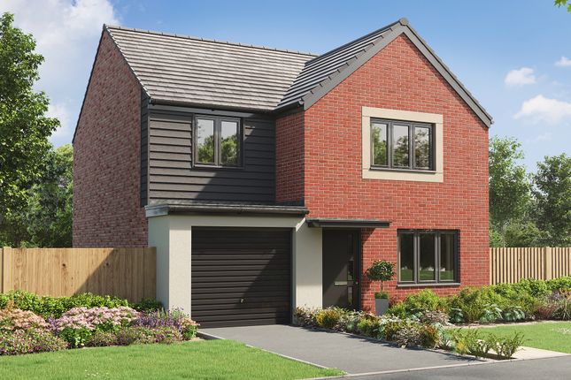 Thumbnail Detached house for sale in "The Gisburn" at Regal Walk, Bridgwater