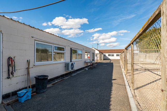 GLATTON KENNELS, 48 Quakers Drove, Whittlesey photo 3