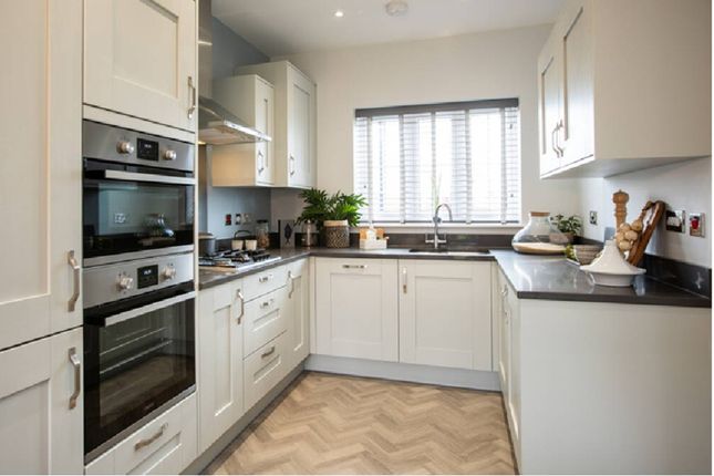 Plot 32 Alnwick, Chestnut Vale, Irthlingborough Road North, Wellingborough photo 4