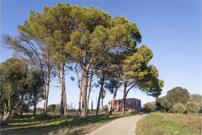 Thumbnail Property for sale in Latiano, Puglia, 72022, Italy