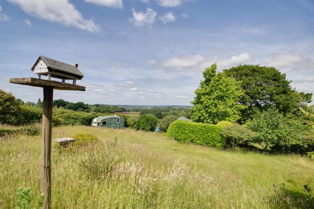 Midget Lodge, Dixter Lane, Northiam, Rye photo 3
