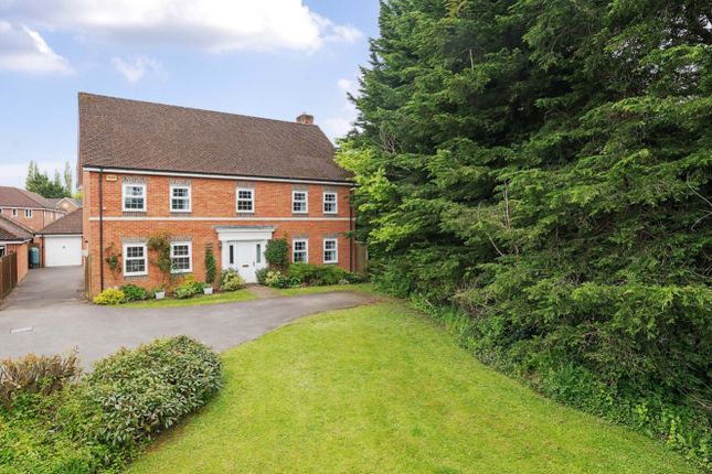 Thumbnail Detached house for sale in Creswell, Hook, Hampshire