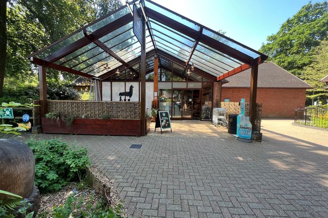 Lodge for sale in Sandy Balls, Sandy Balls, Godshill, Fordingbridge