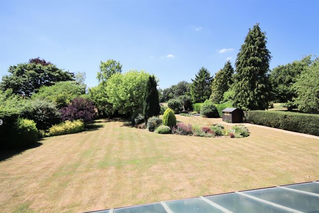 View From Master Bedroom