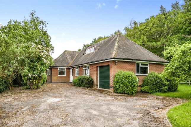 Thumbnail Bungalow to rent in Wood End Lane, Curborough, Lichfield, Staffordshire