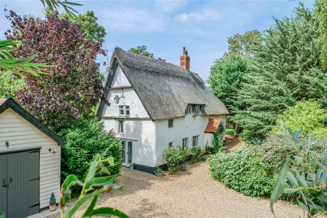 Little Manor
