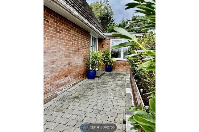 Willow Way, Farnham photo 2