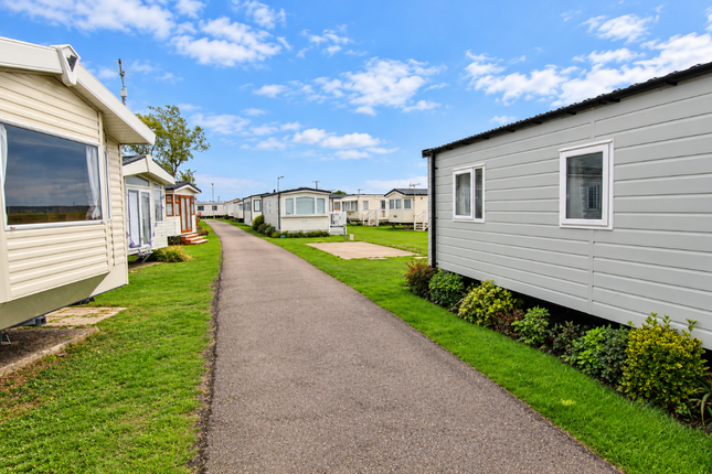 115 Seasalter Holiday Park, 400 Faversham Road, Whitstable photo 3