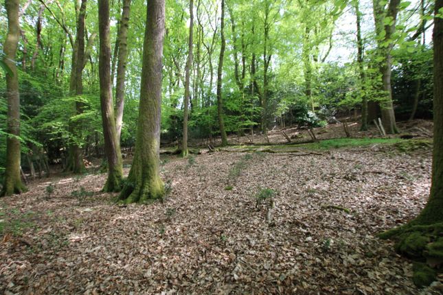 Botolphs Lawn, Glen Road, Grayshott photo 4
