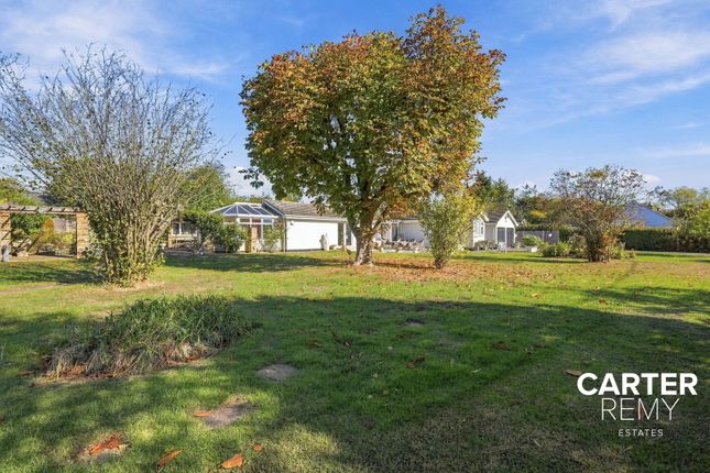 3-bed bungalow on South View, Osborne Road, Bowers Gifford, £625,000