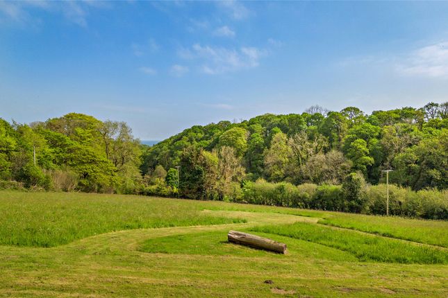 Meadow Field