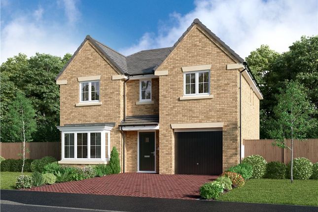 Thumbnail Detached house for sale in "The Denwood" at Flatts Lane, Normanby, Middlesbrough