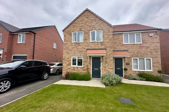 Thumbnail Semi-detached house for sale in Water Rail Road, Langold, Worksop