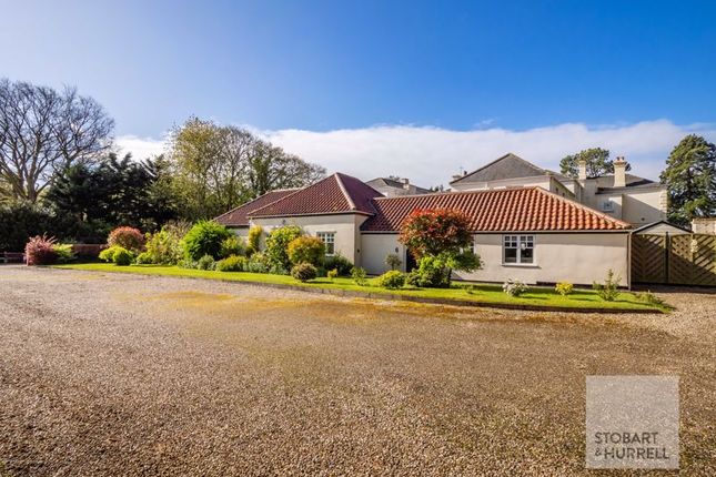 Thumbnail Detached bungalow for sale in Courtyard Cottage, Wroxham Road, Coltishall