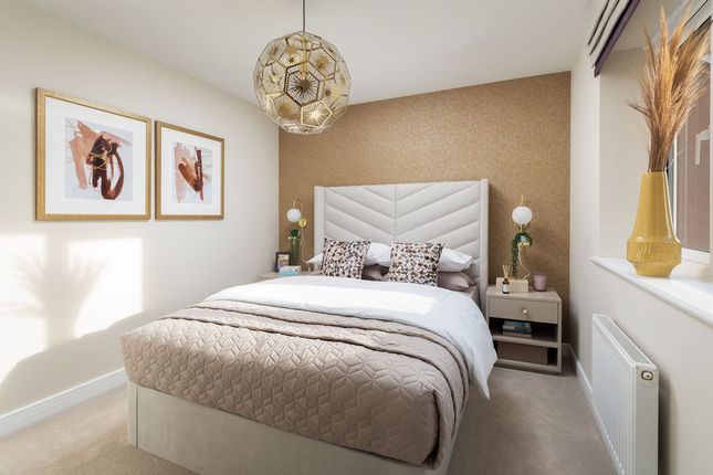 Showhome Photography
