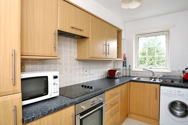 Thumbnail Penthouse to rent in Shepherds Court, Kinneskie Road, Banchory