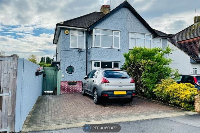 Thumbnail Semi-detached house to rent in East Road, Feltham