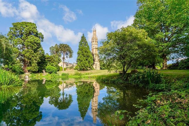 Tower Lake View