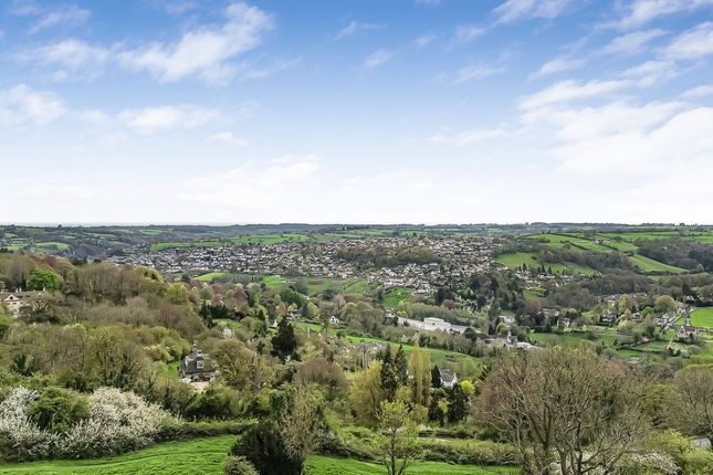 Mole Cottage, Littleworth, Amberley photo 2