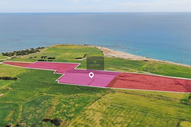 Land for sale in Mazotos, Cyprus