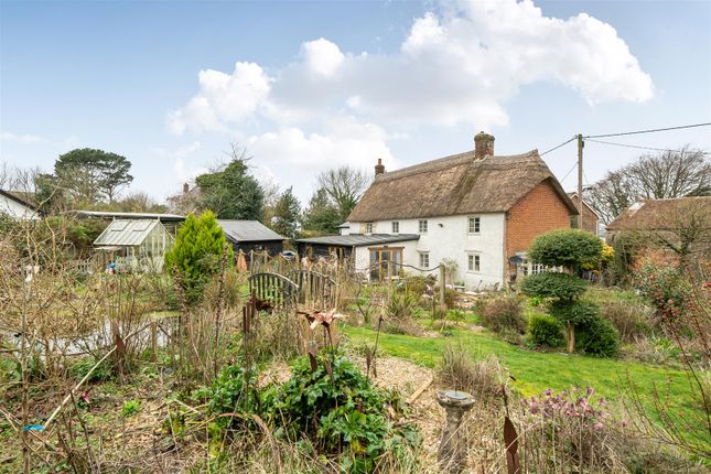 Rosemary Cottage, Sturminster Newton photo 3