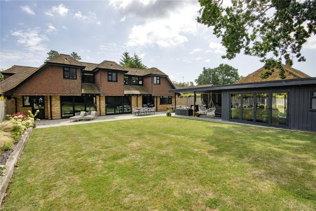 Rear Elevation